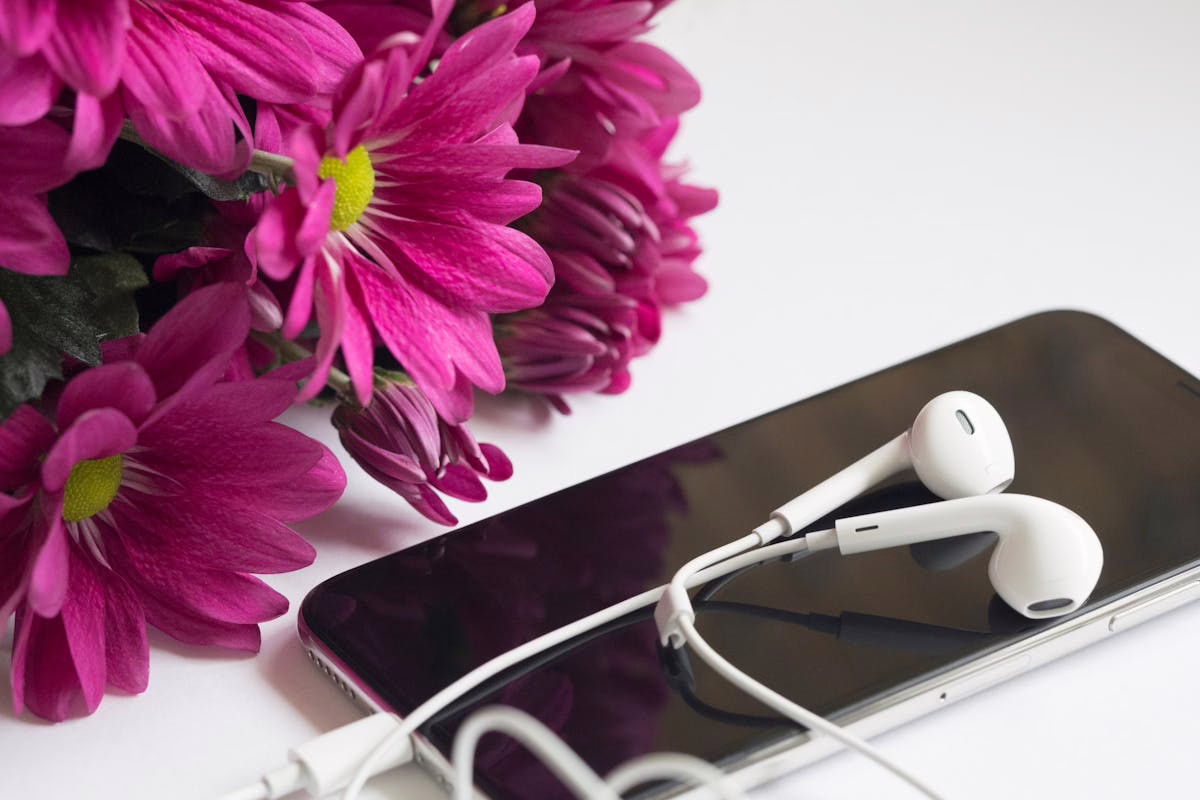 Wie finde ich die Seriennummer von meinem Handy