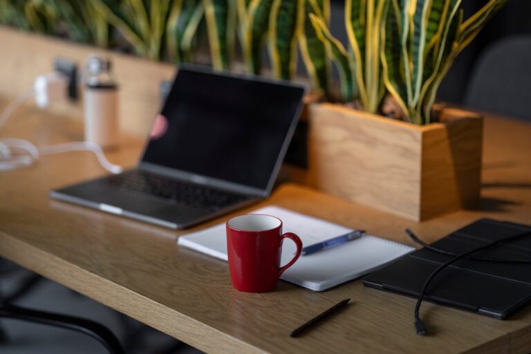 Windows 11 „App lässt sich nicht installieren“ – Microsoft Store Fehler beheben