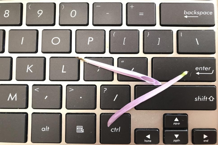 Windows zeigt „Desktop wird vorbereitet“ dauerhaft: So beendest du die Endlosschleife